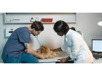 Médecine vétérinaire