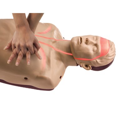 Mannequin secourisme Brayden