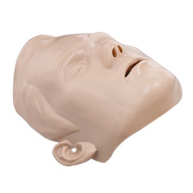Peau du visage mannequin secourisme Brayden