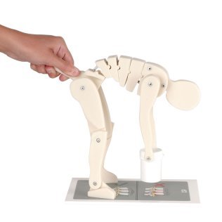 Maquette pédagogique “Comment soulever ?”