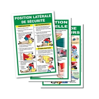 Lot de 22 affiches de 1er secours détaillées PSC1