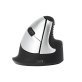 Souris ergonomique HE
