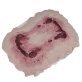 Plaie morsure de chien sur filet