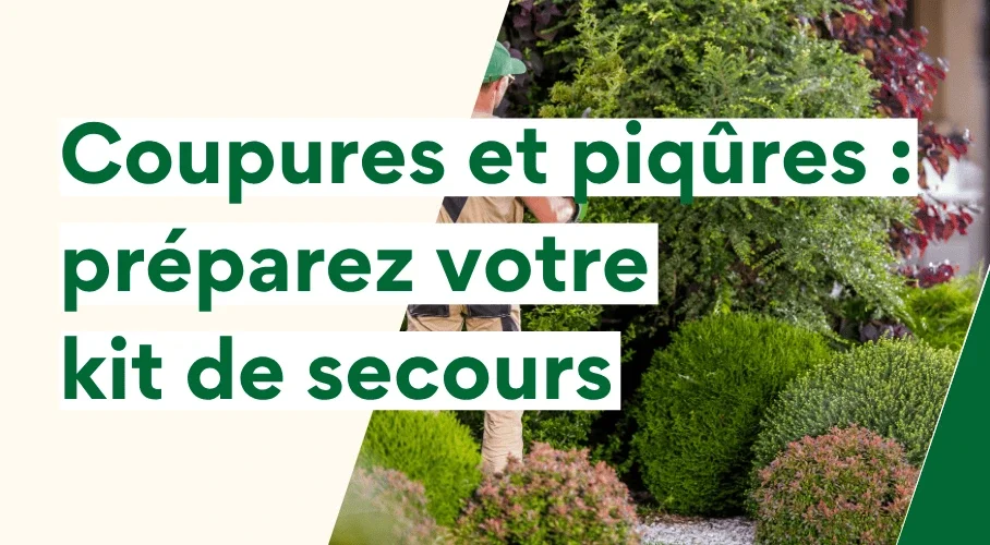 bannière coupure piqure